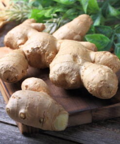 Ginger