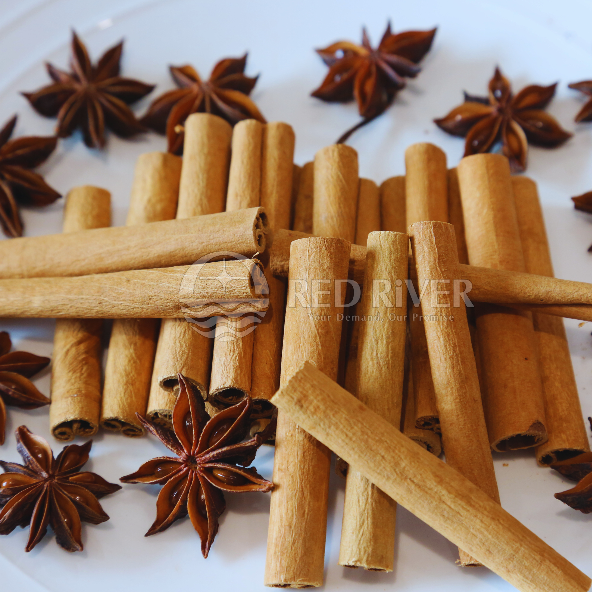 Cigarette Cinnamon - Image 3