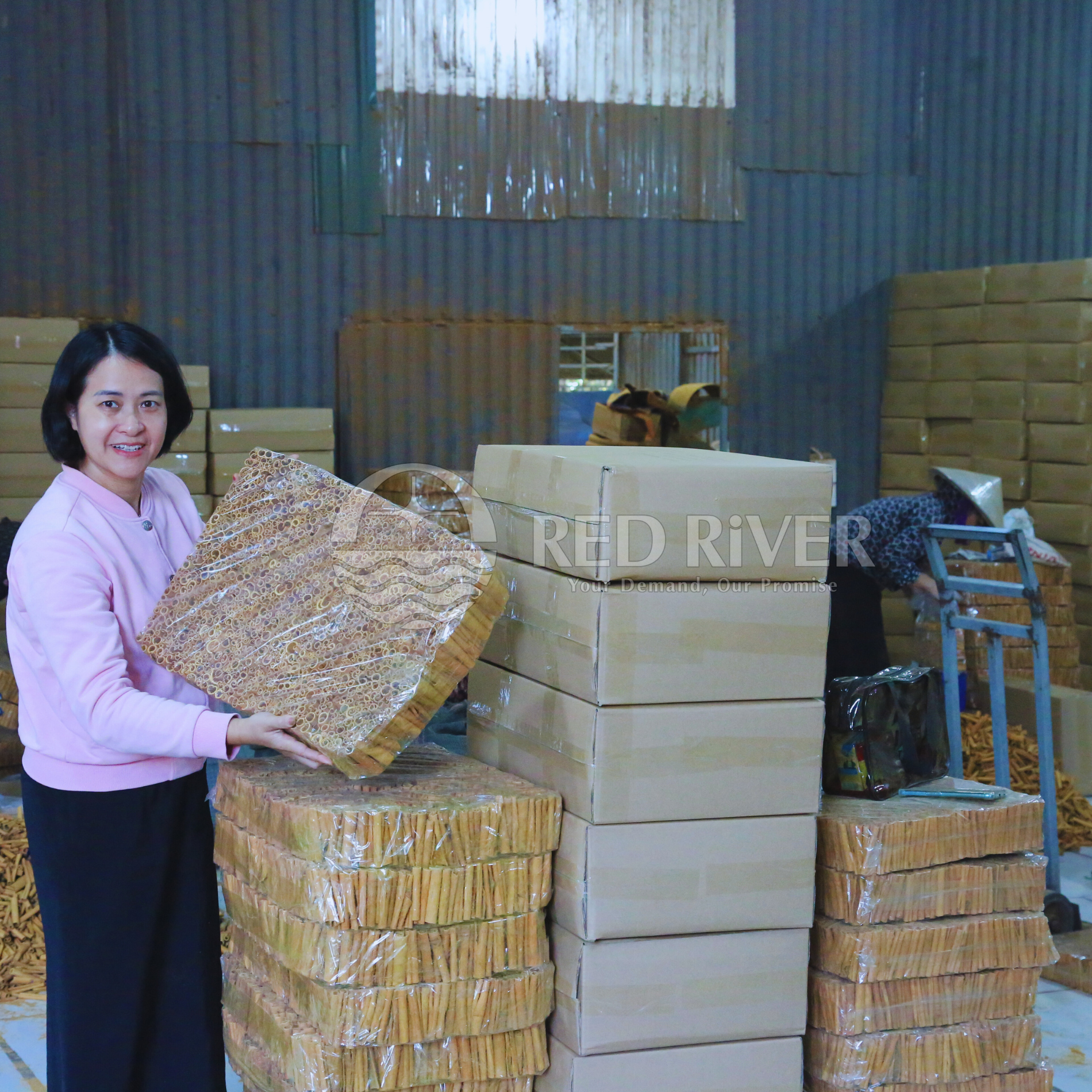 Cigarette Cinnamon - Image 5