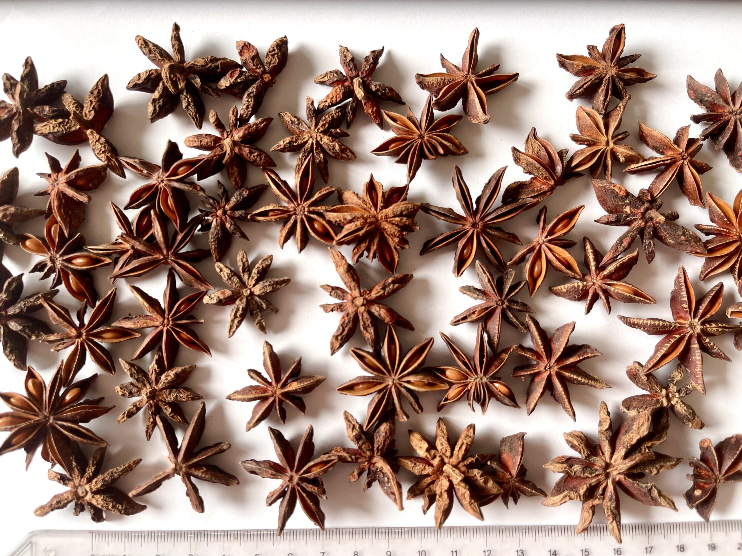 Star Anise from Lang Son - Vietnam’s Aromatic Treasure