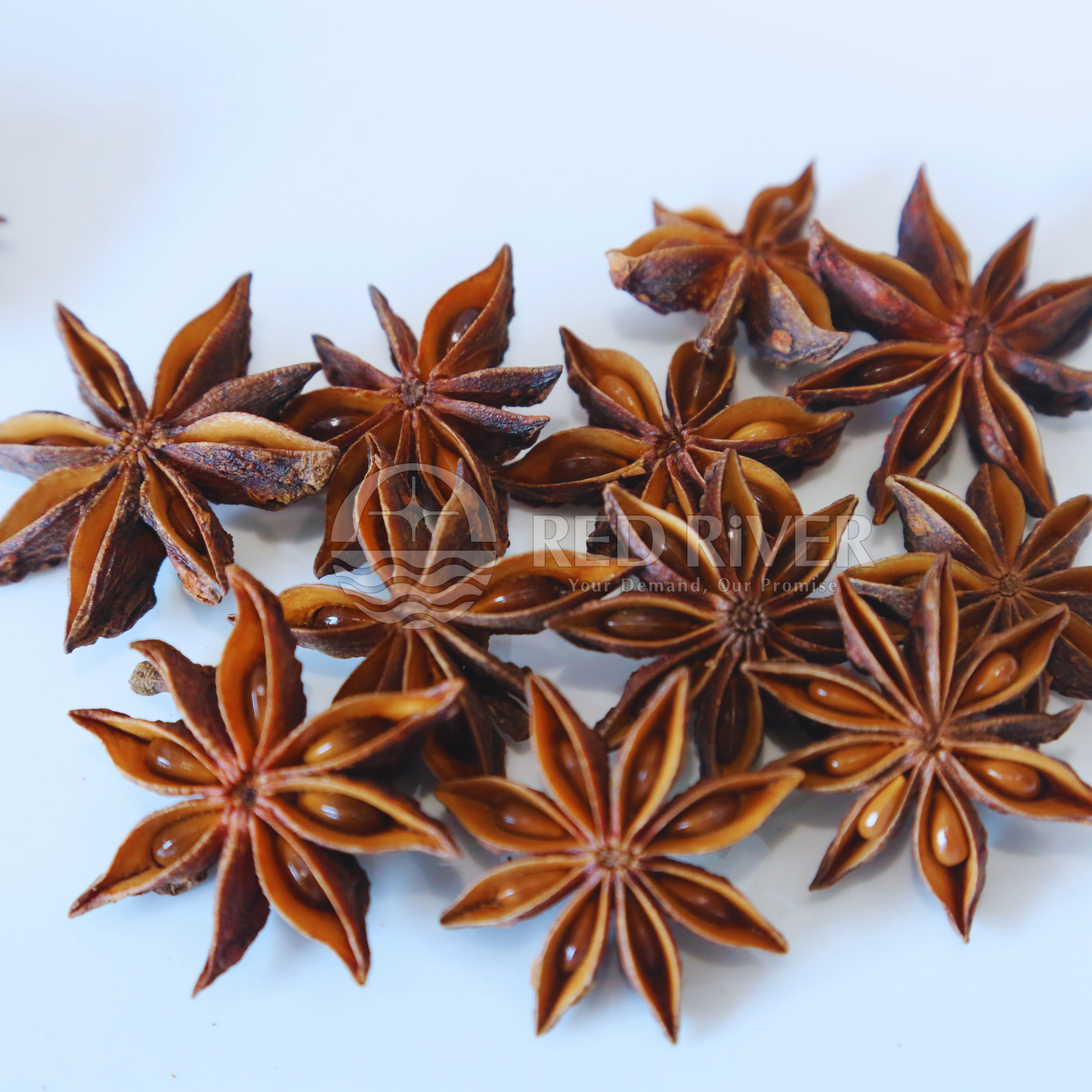 Star Anise Powder