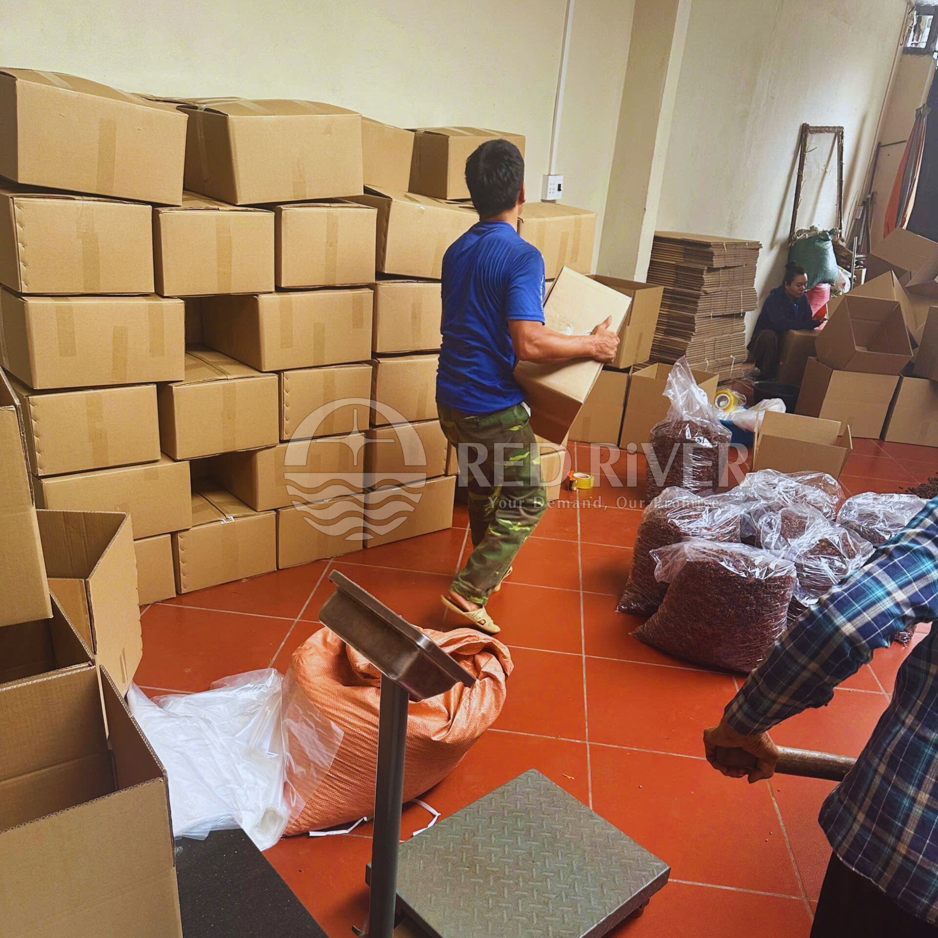 Star Anise Powder - Image 2