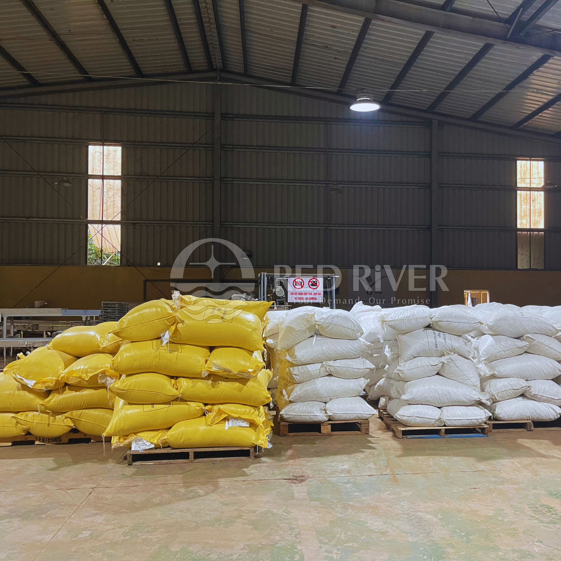 Dried Sliced Ginger - Image 3