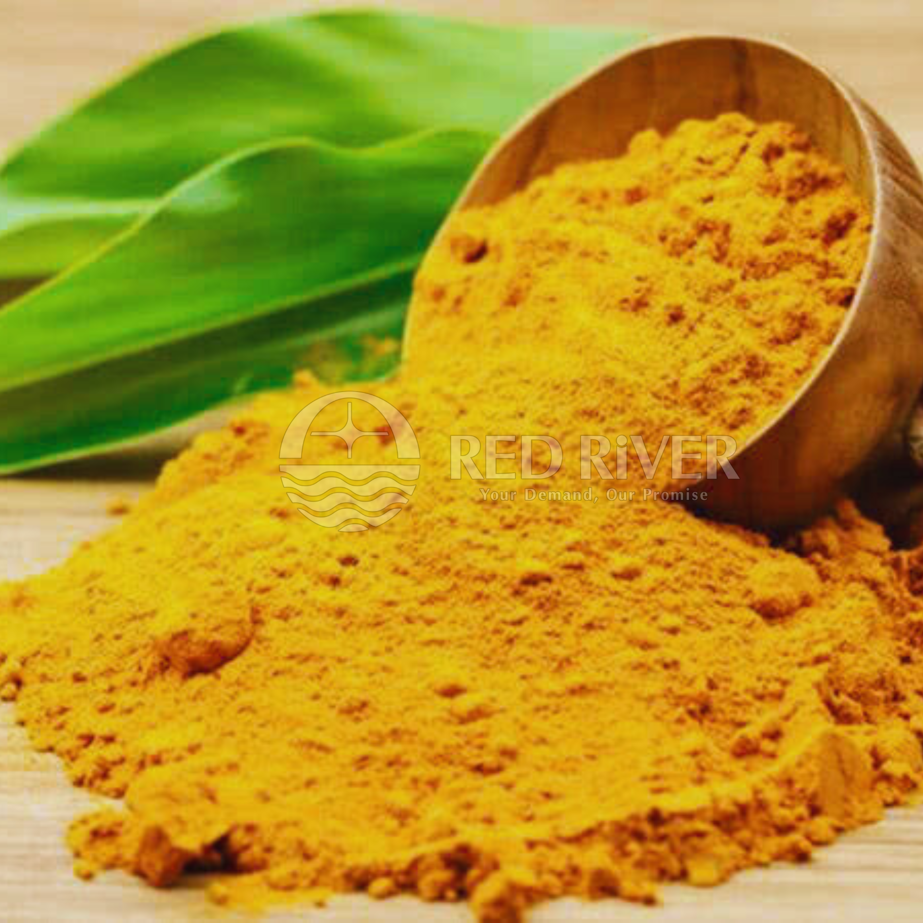 Turmeric Powder - Image 3