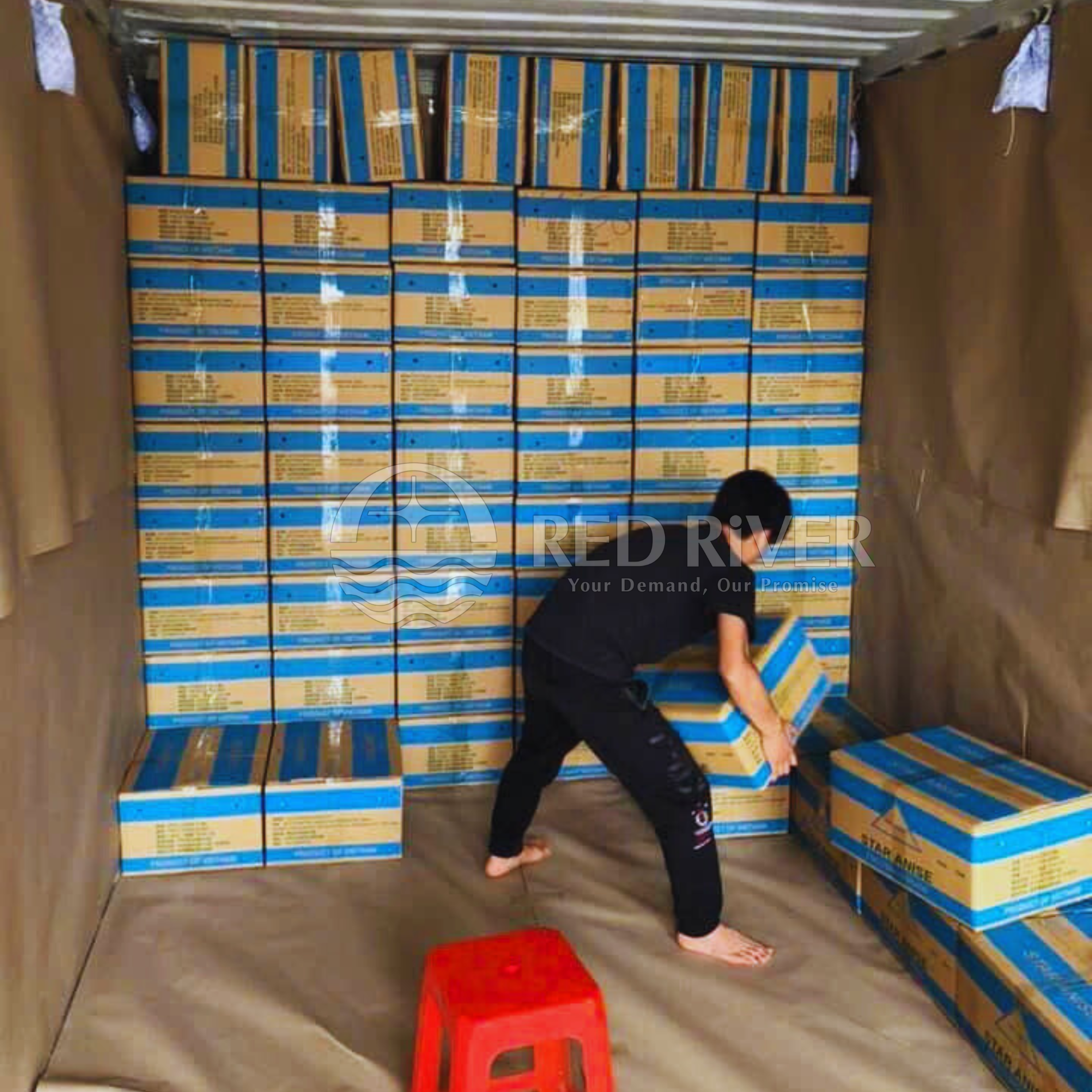 Star Anise Powder - Image 3