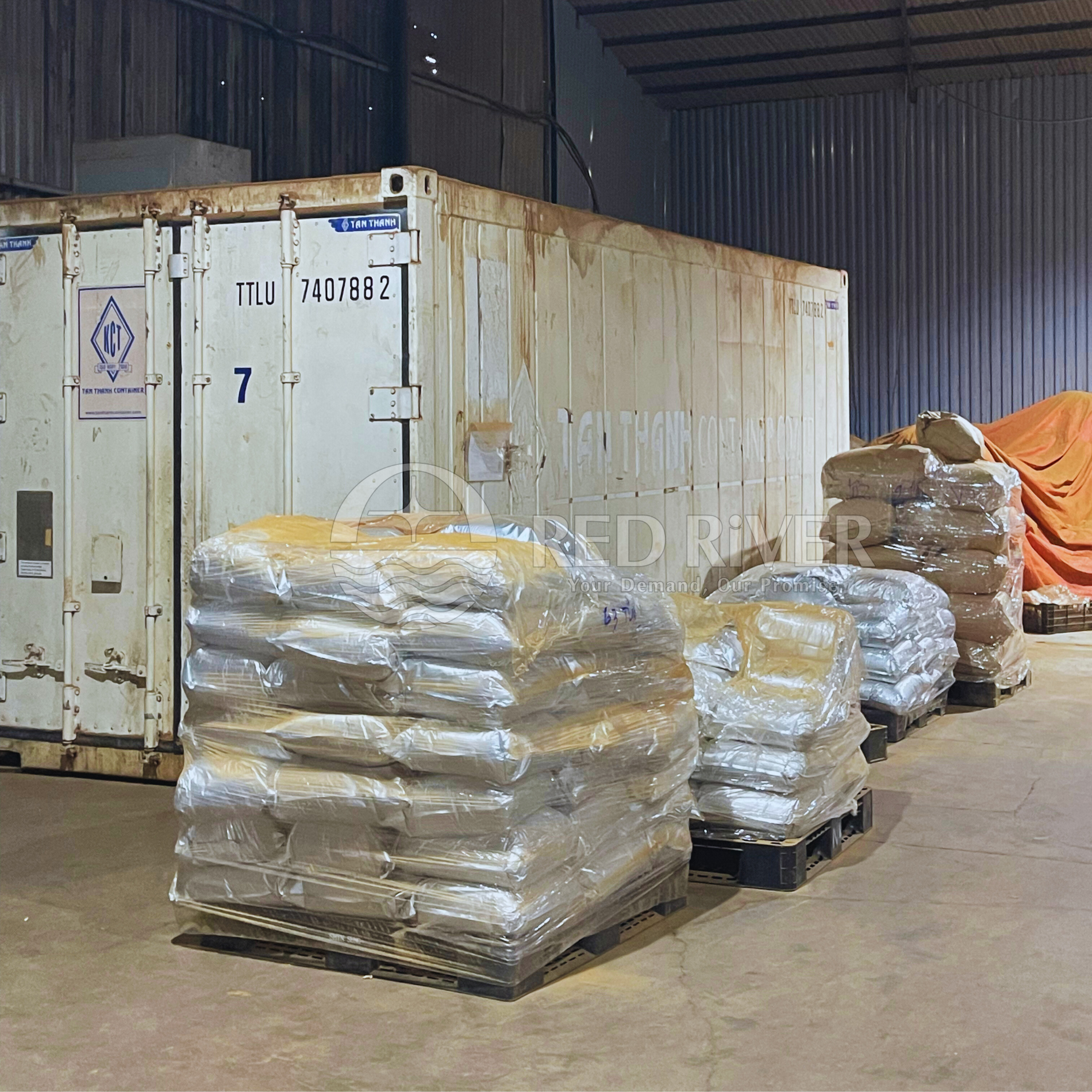 Cinnamon Powder - Image 4