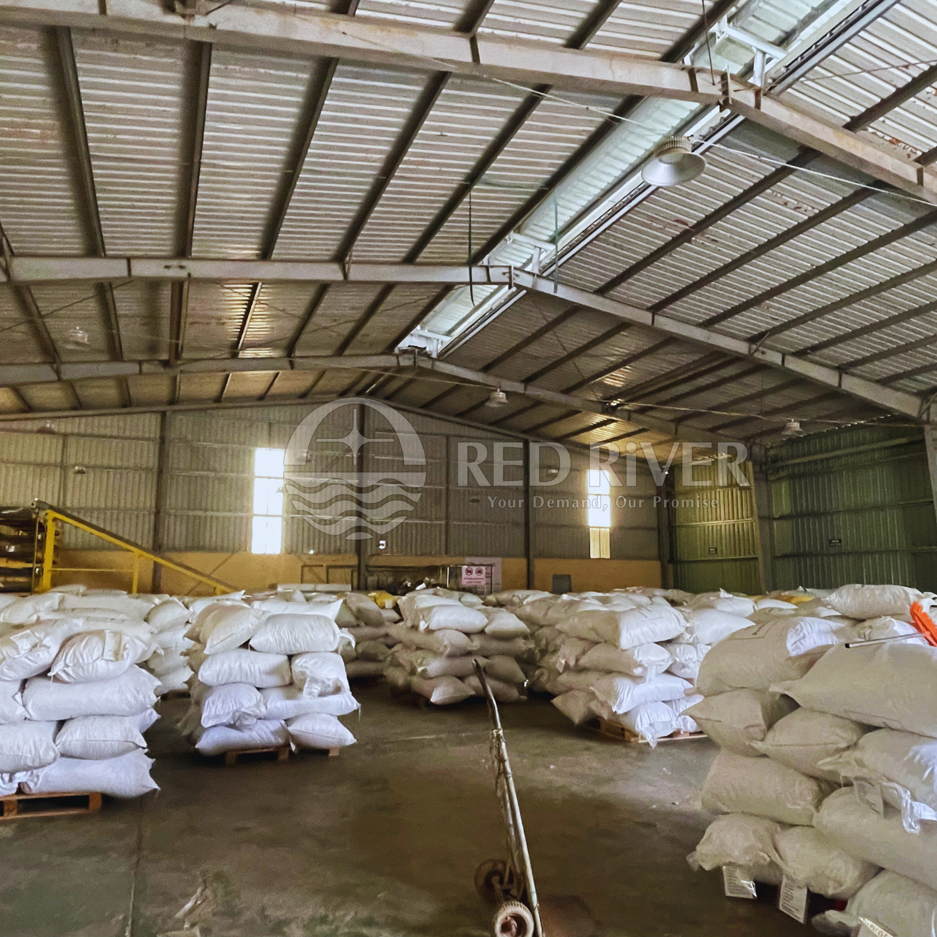 Dried Sliced Ginger - Image 4