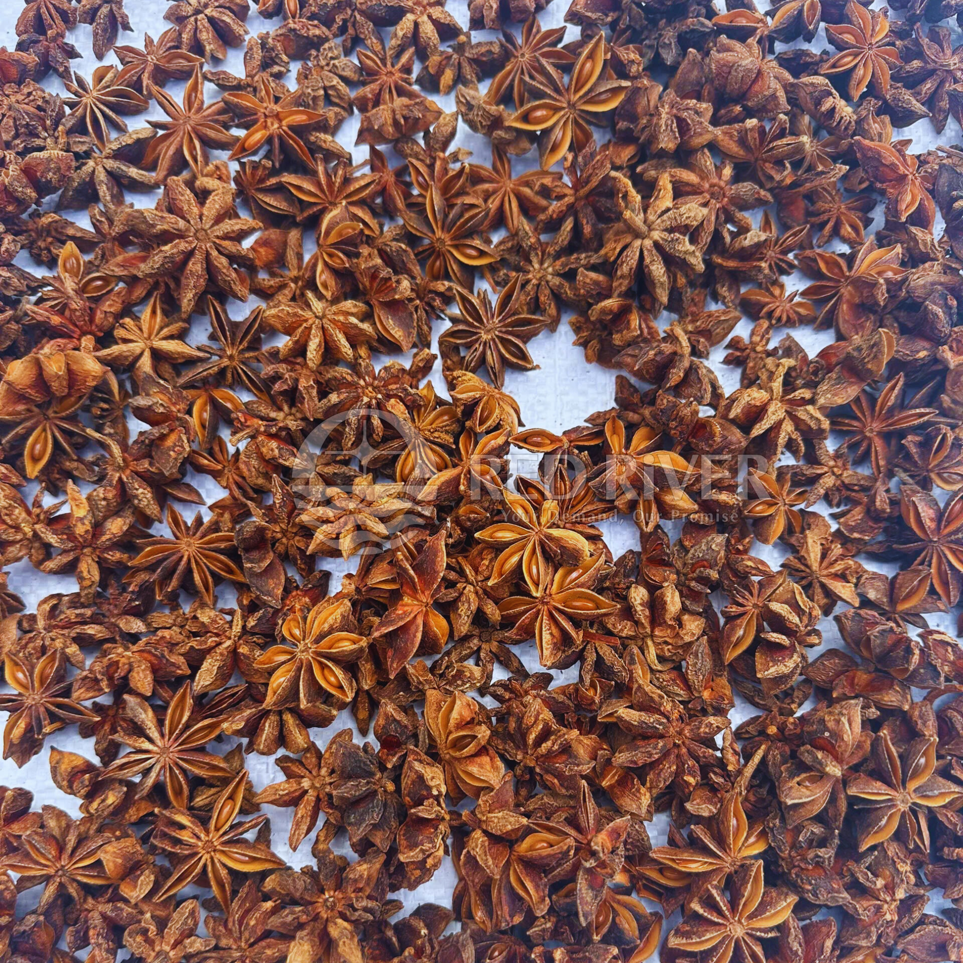 Star Anise Powder - Image 5