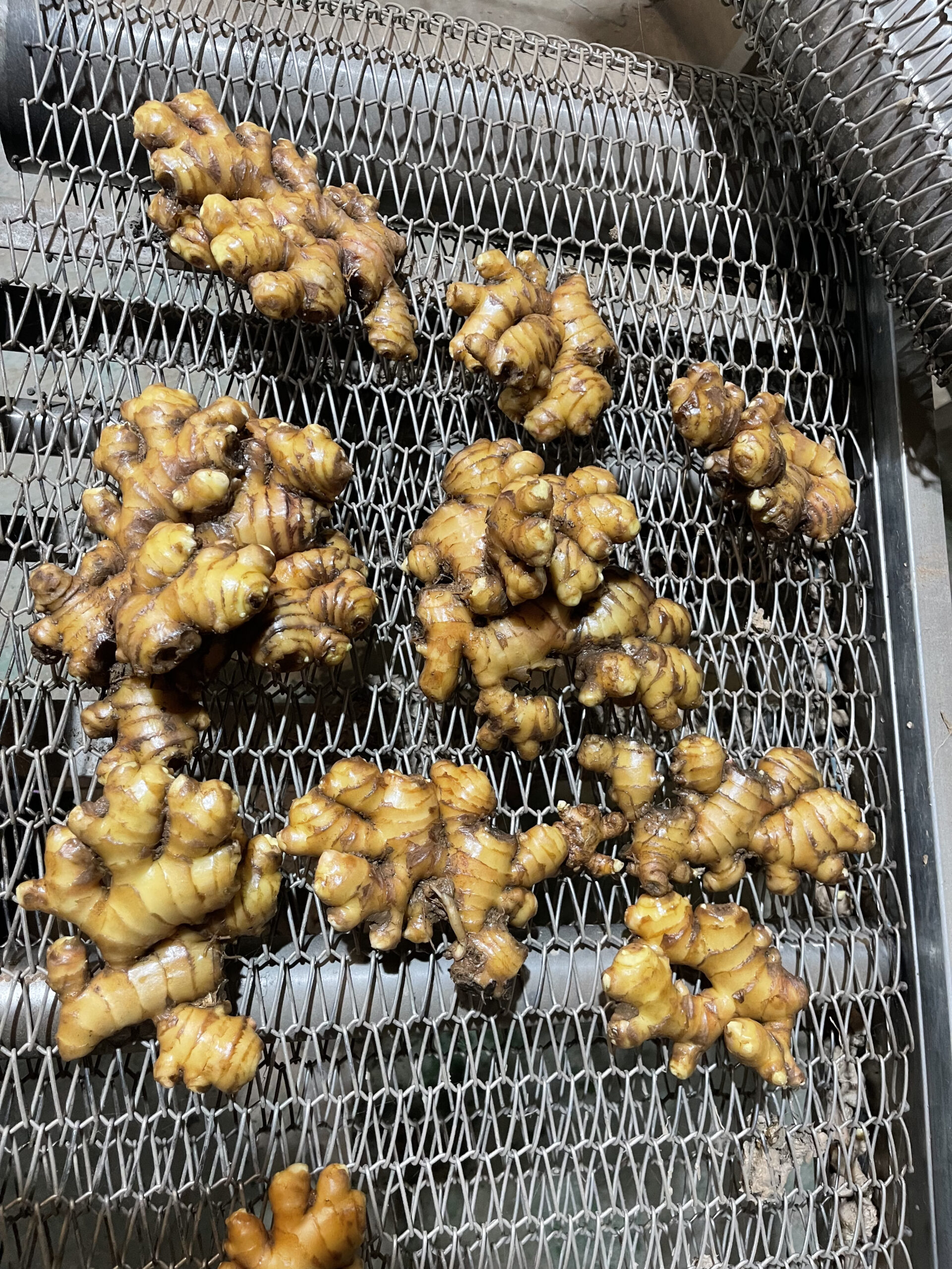 Fresh Ginger - Image 3