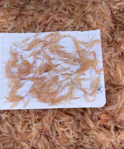 Fresh “Moi” - Treasures from the Vietnamese Sea