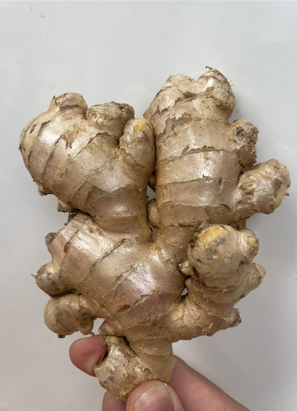 Fresh Ginger - Image 4
