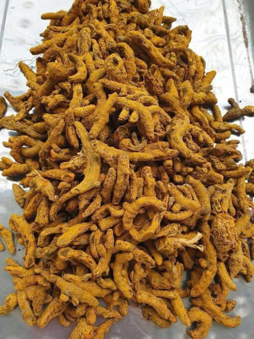 Turmeric – Premium Vietnamese Turmeric from the Highlands - Image 2