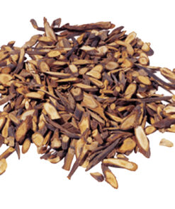 Cut Cinnamon Branch - Vietnamese Cinnamon