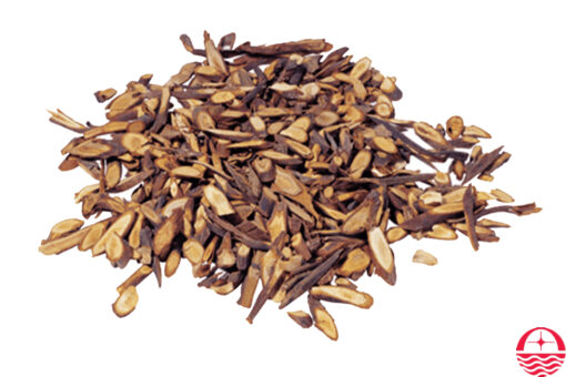Cut Cinnamon Branch - Vietnamese Cinnamon