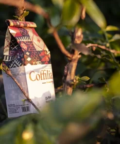 COFFILIA Ground Coffee Bold. Aromatic. Artisan-Roasted.