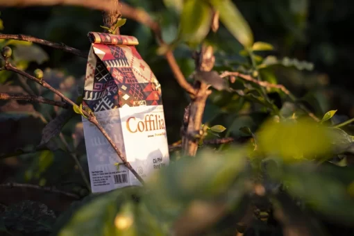 COFFILIA Ground Coffee Bold. Aromatic. Artisan-Roasted.