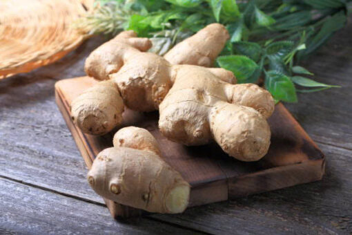 Ginger – Premium Vietnamese Ginger from the Northwestern Highlands - Image 3