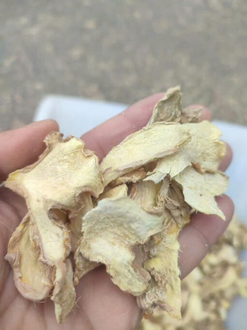 Ginger – Premium Vietnamese Ginger from the Northwestern Highlands - Image 2