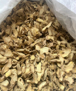 Ginger – Premium Vietnamese Ginger from the Northwestern Highlands