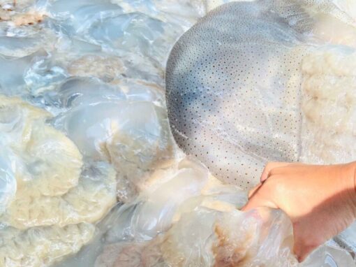 Vietnamese Jellyfish - A Taste of the Ocean’s Purity - Image 4
