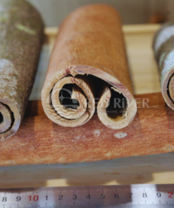 Cinnamon Tube AB Grade