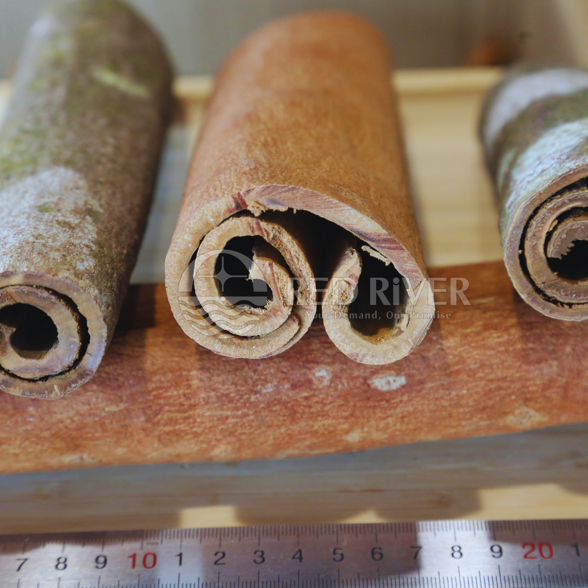 Cinnamon Tube AB Grade