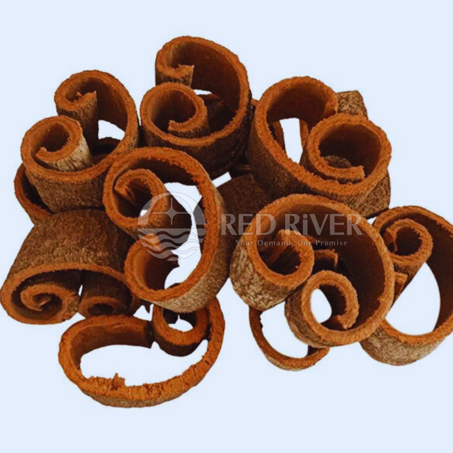 Round Cut Cinnamon (With - Without Skin) - Image 2