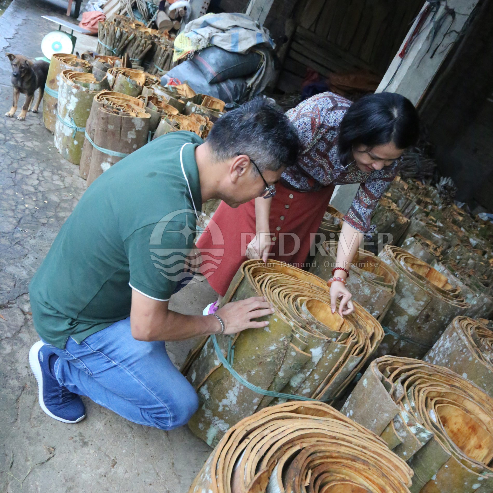 Cinnamon Tube AB Grade - Image 5